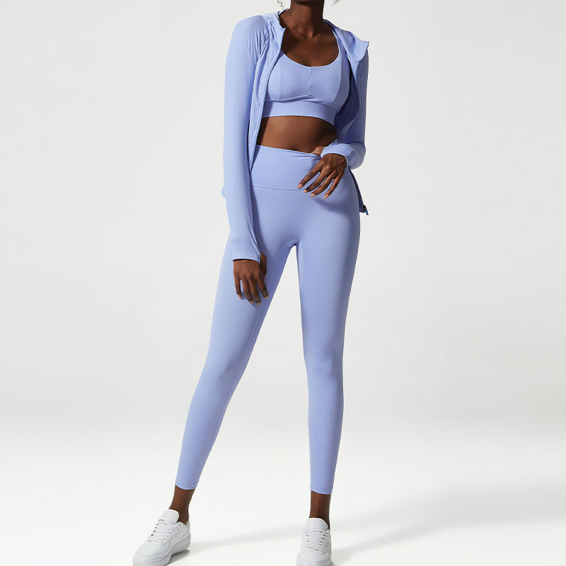 Women's Active Sport Long Sleeve Yoga Sets Seamless Gym Fitness Athletic Activewear with Solid Pattern Shorts Workout Gear