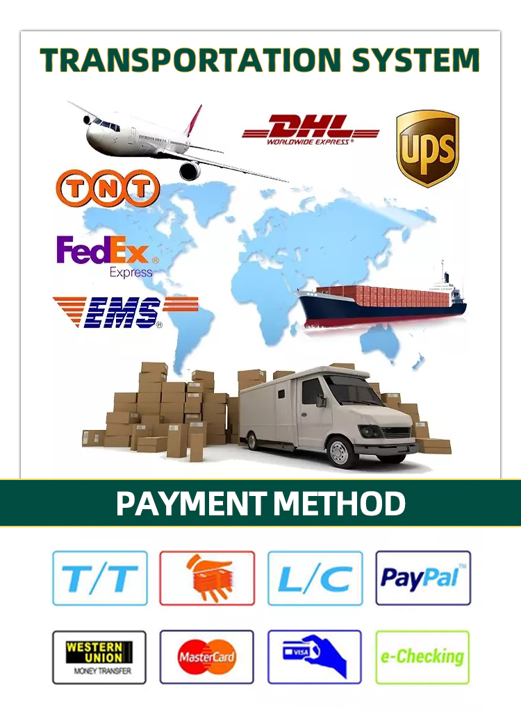 Shipping Detail