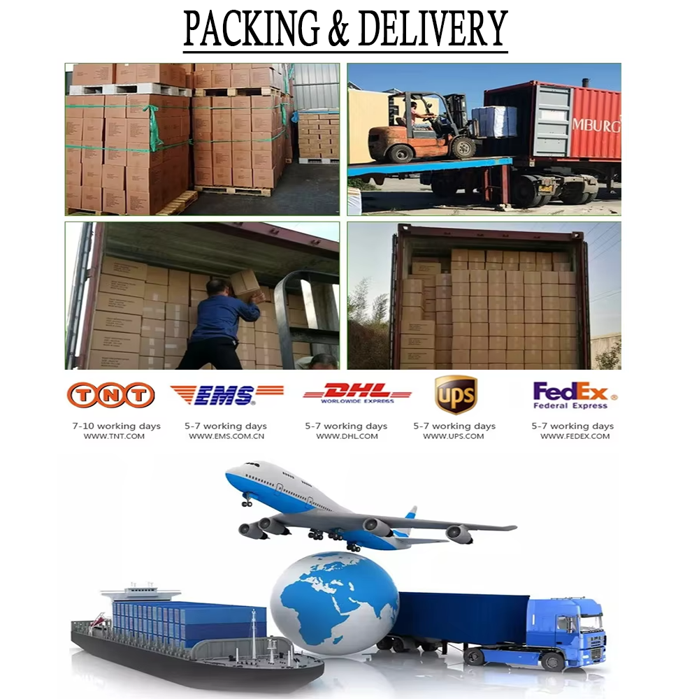 Shipping and Logistics