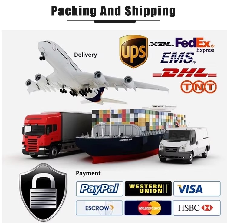 Packing and Shipping Process