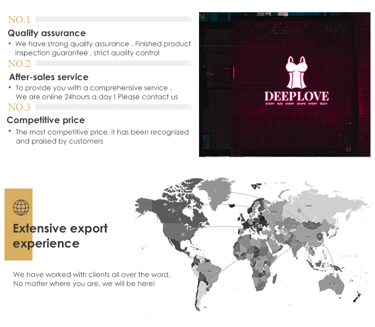 Company Showcase 2