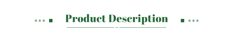 Product Showcase Banner 2