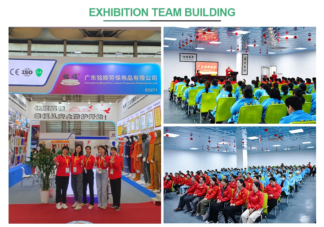 Team exhibition display