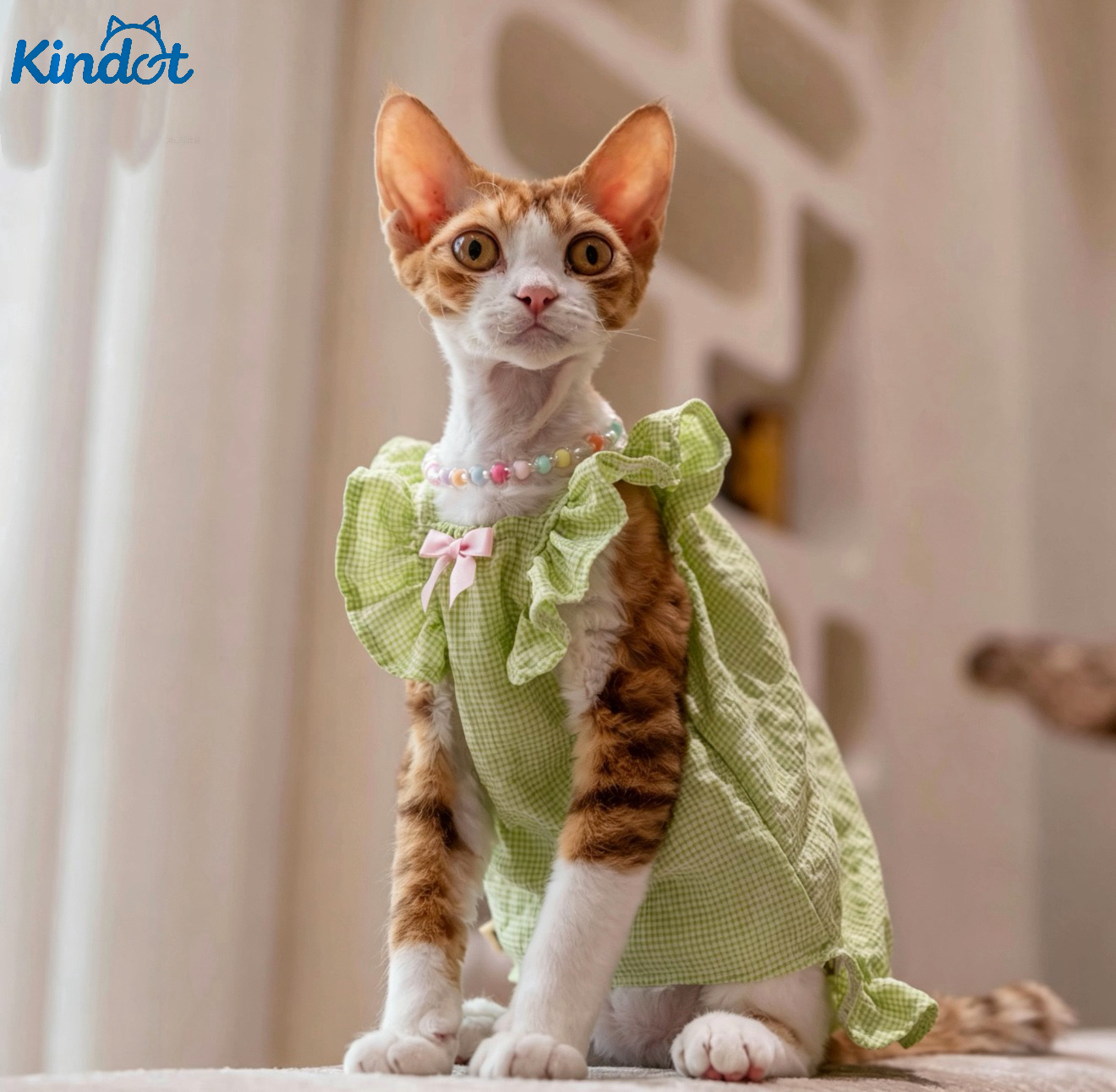 KINDOT Dopamine-inspired Crinkled Cotton Mini Dress German-style Cat Outfit Hairless Cats Wrinkle-resistant Bubble Chiffon