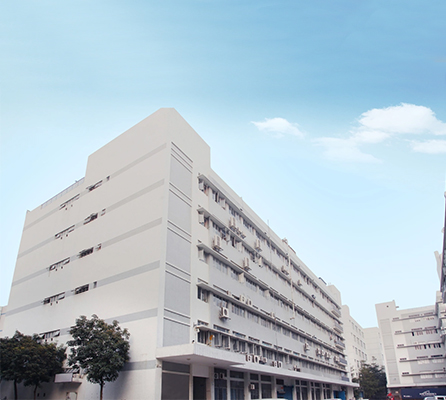 Company Office