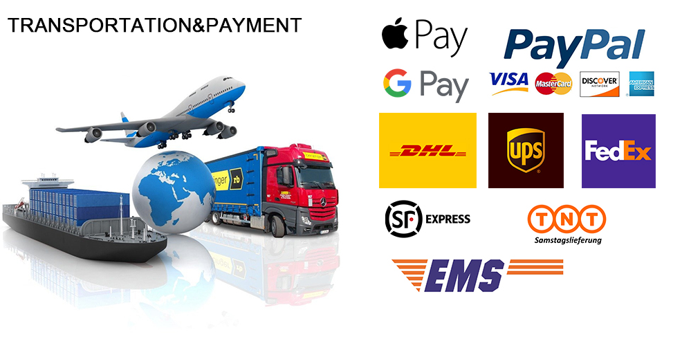 Shipping and Payment Guide