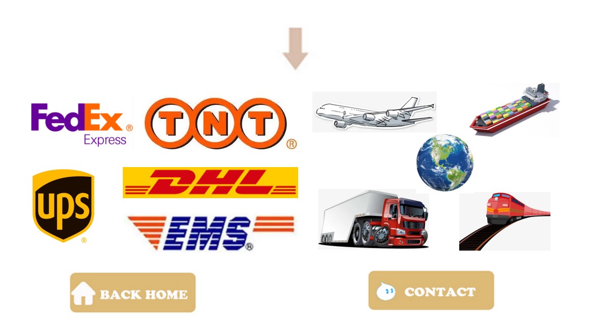 Shipping Logistics