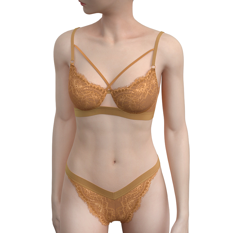 Comfortable Women's Underwire 3/4 Cup Bra and Bikini Brief Sets Transparent with Sexy Embroidery Lace Decoration Nylon/Spandex