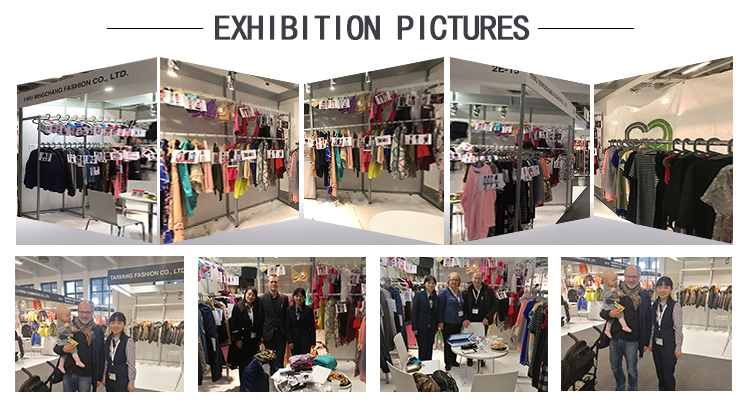 Exhibition Showcases