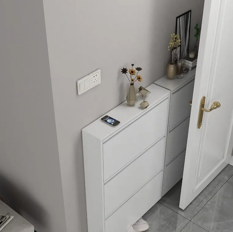 Modern Metal Shoe Storage