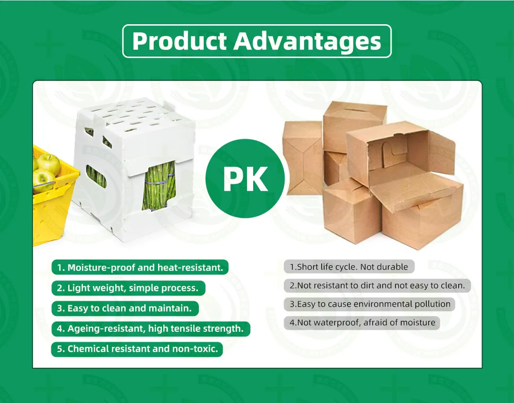 Agricultural Vegetable Box