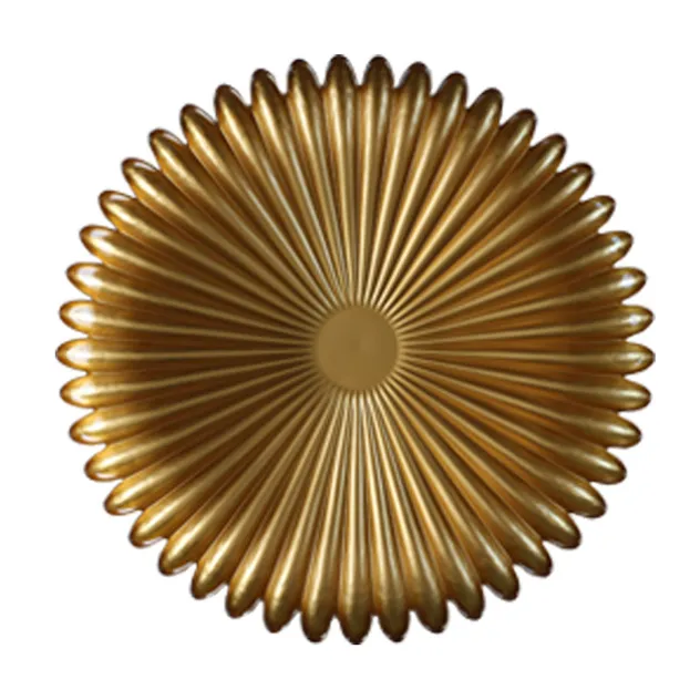 Glass Plate Detail 2