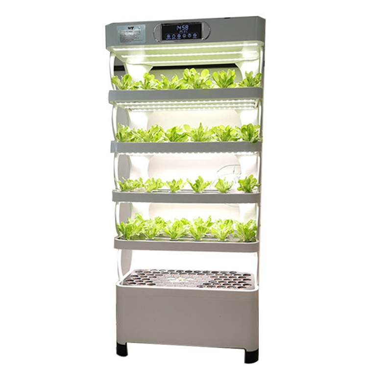 Household Vertical Hydroponic Rack System for Continuous Leafy Greens Production