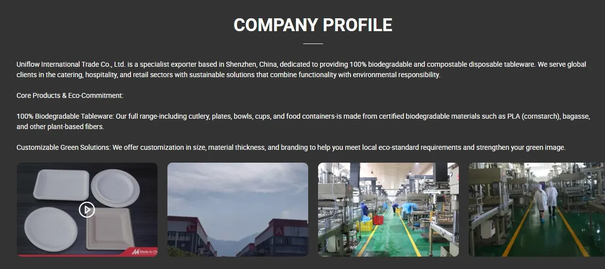 Manufacturing Process