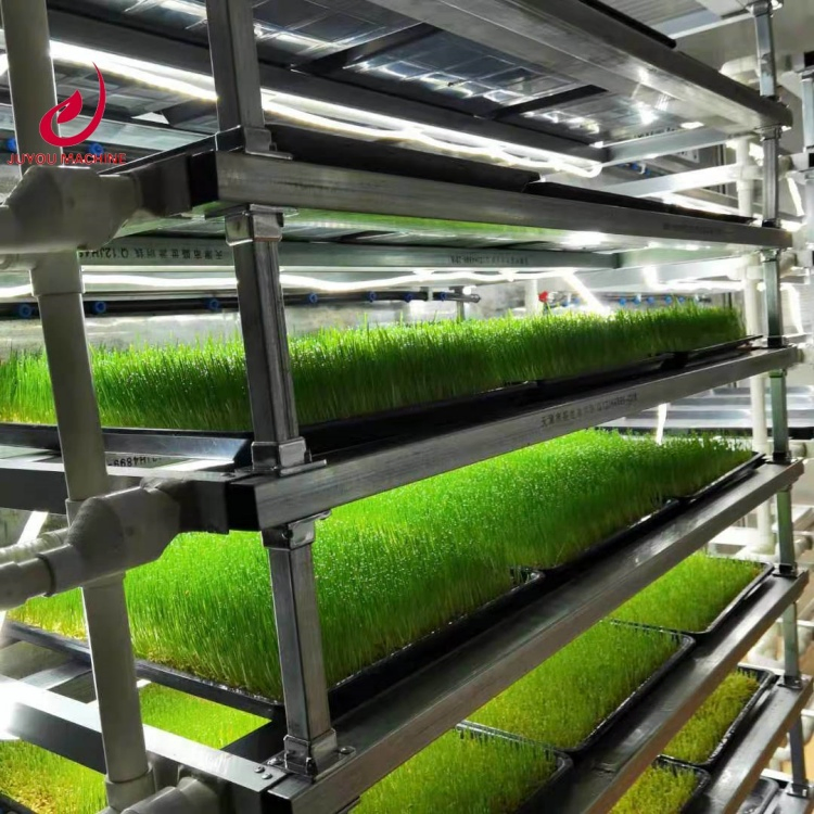 Wholesale Vertical Farming Tower Hydroponic Rack System Machine for Corn