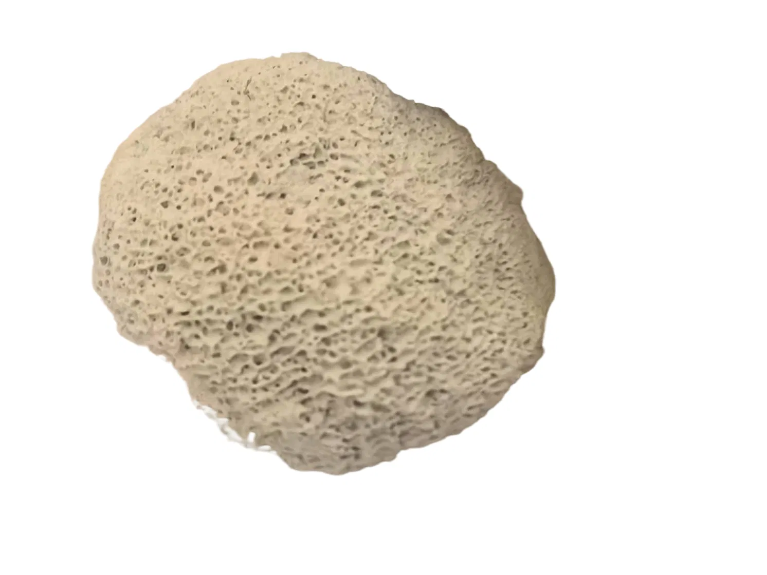 Pure Ox Bone Ceramic Ashes