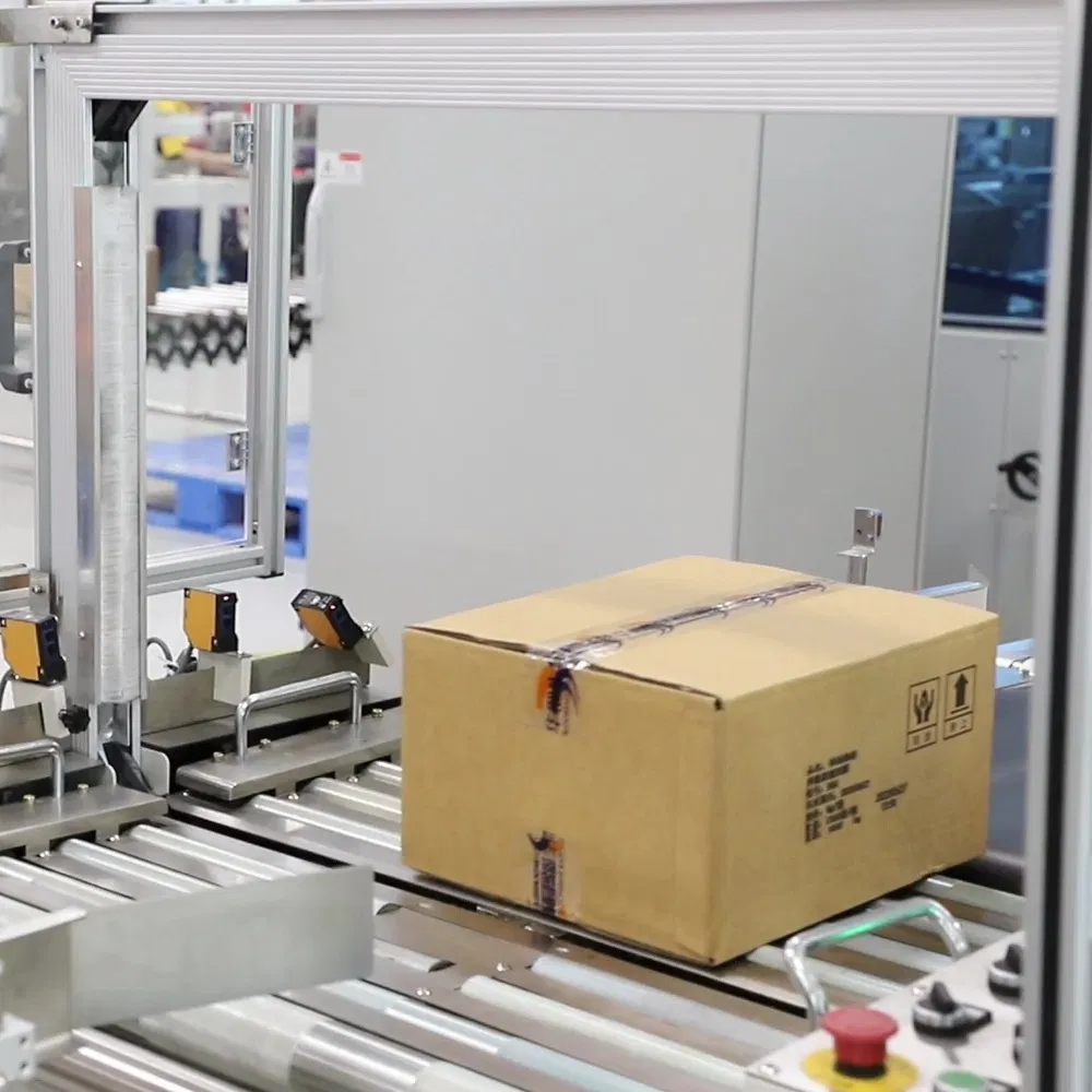 Robotic Packing Solution for Delicate Egg Tarts with Tray Inserter
