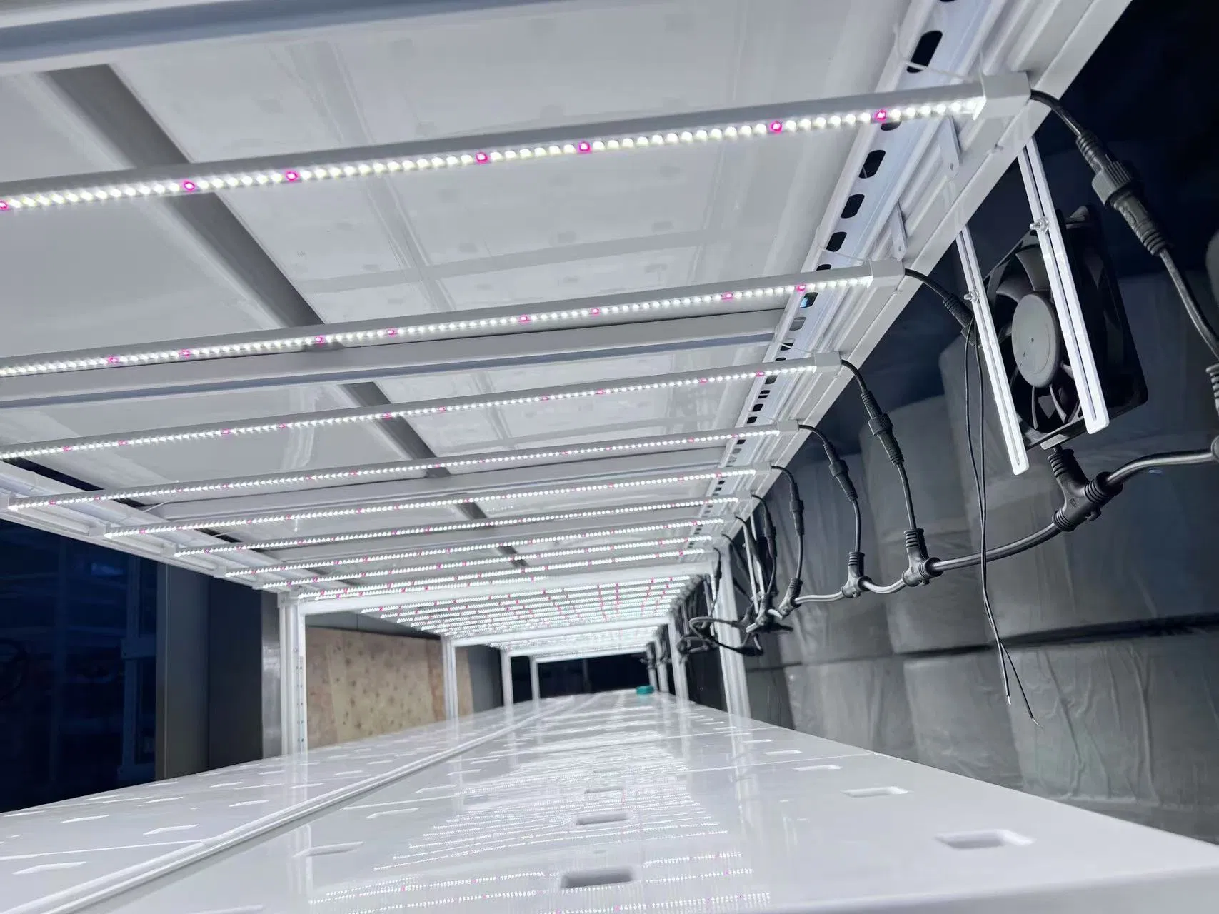 Reinfa Hydroponics System Nft Technology - Modular Vertical Grow Racks + Full-Spectrum LEDs for Commercial Farms