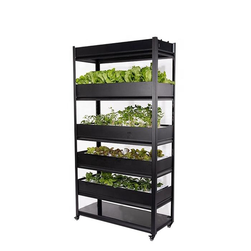 Household Vertical Hydroponic Rack System for Continuous Leafy Greens Production