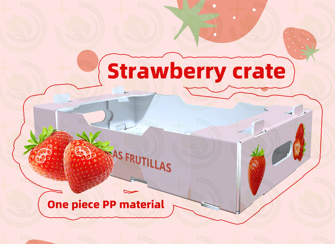 Food-Grade Corrugated Plastic Board Fruit Tray - BPA-Free Material for Safe Storage