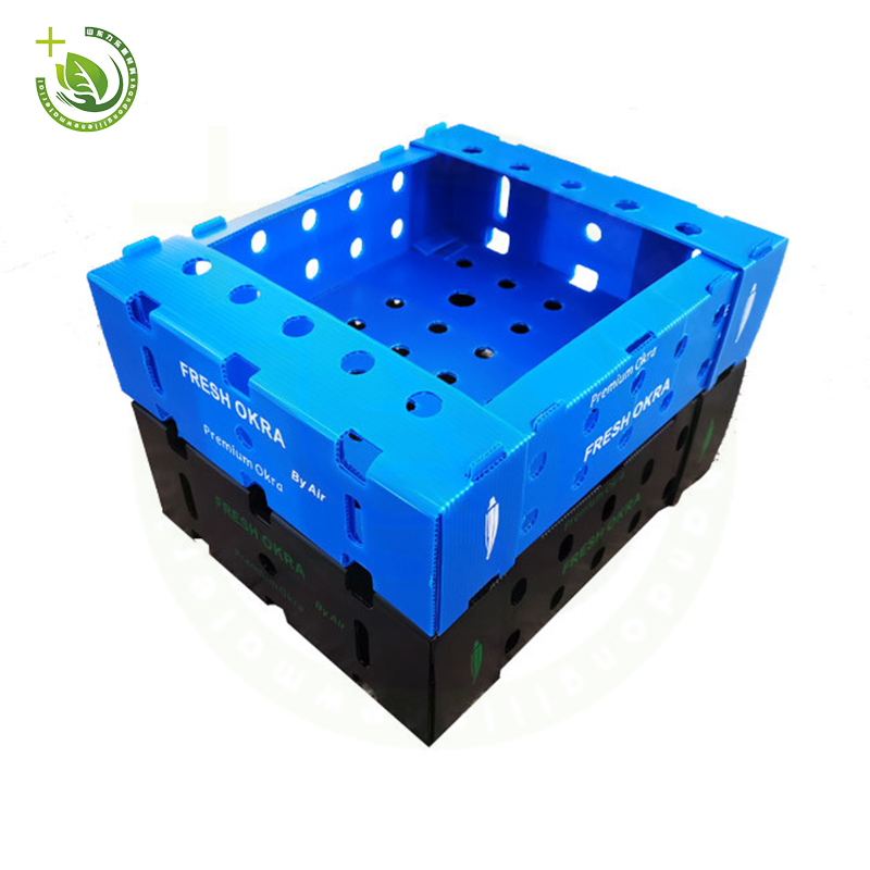 Food-Grade Corrugated Plastic Board Fruit Tray - BPA-Free Material for Safe Storage