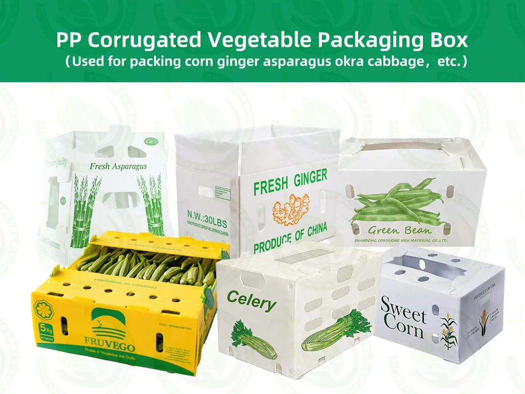 PP Corrugated Board Fruit Tray