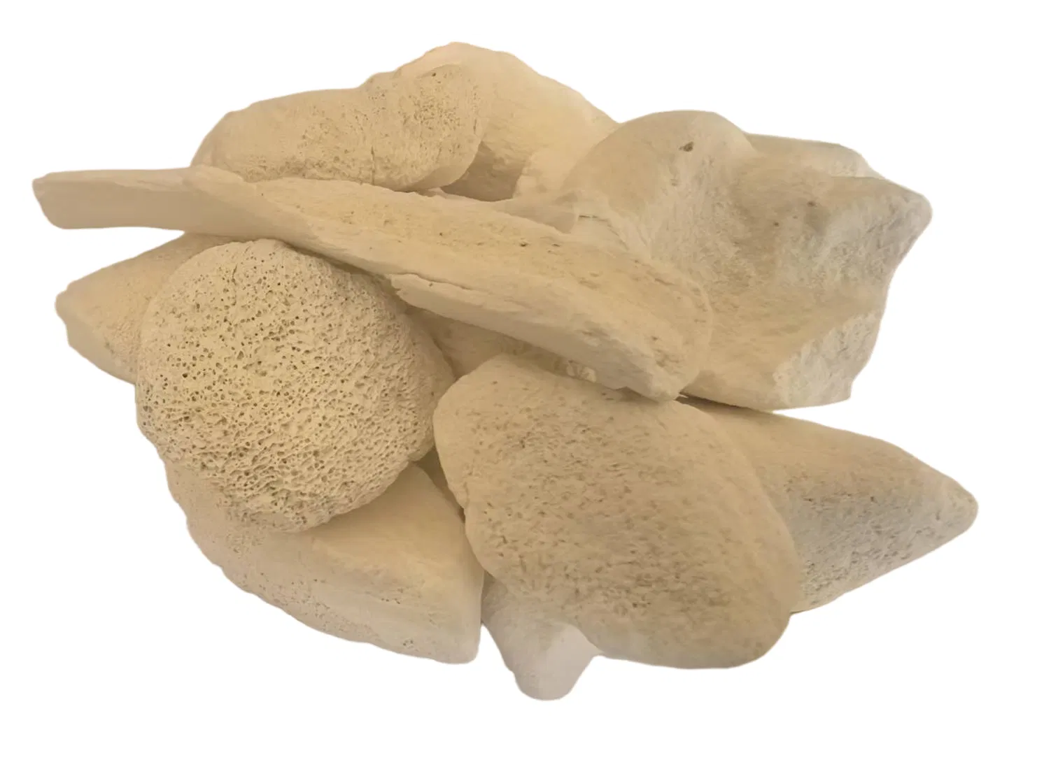 Pure Ox Bone Ceramic Ashes