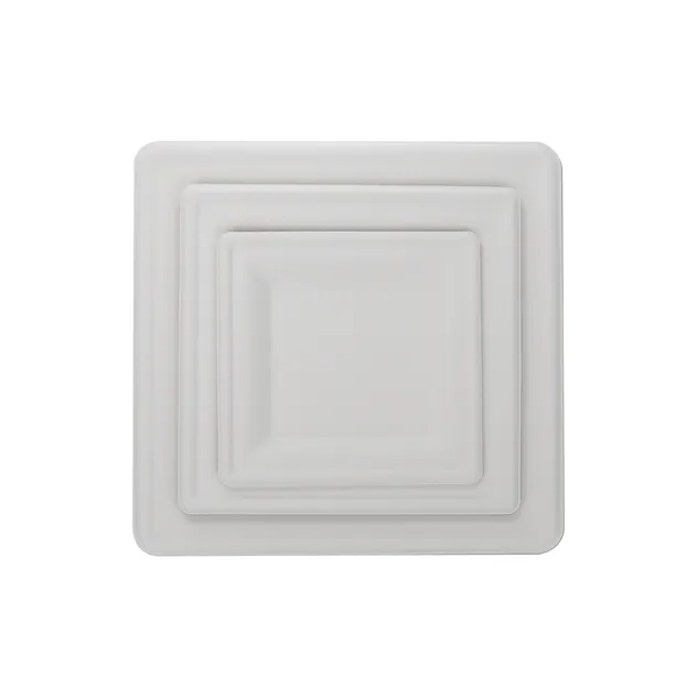 Disposable Sugarcane Dishes