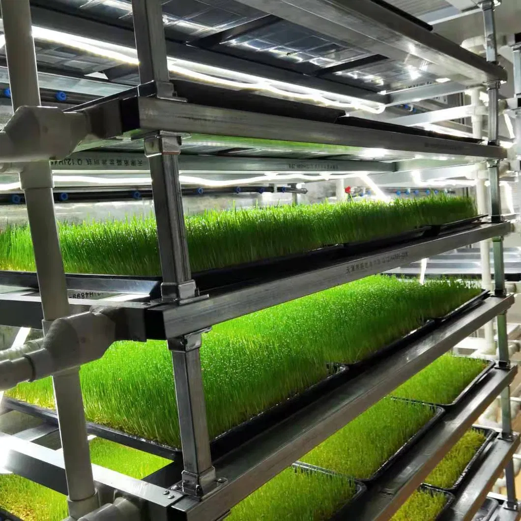 Hydroponic Machine View 6