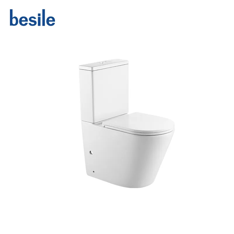 Two Piece Toilet Model
