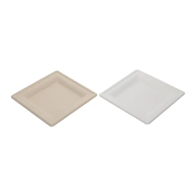 Biodegradable Plates