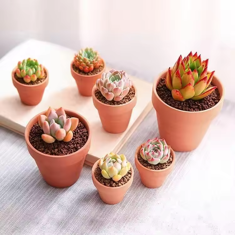 Customized Modern Classic Decorative Red Clay Flower Pots Collection
