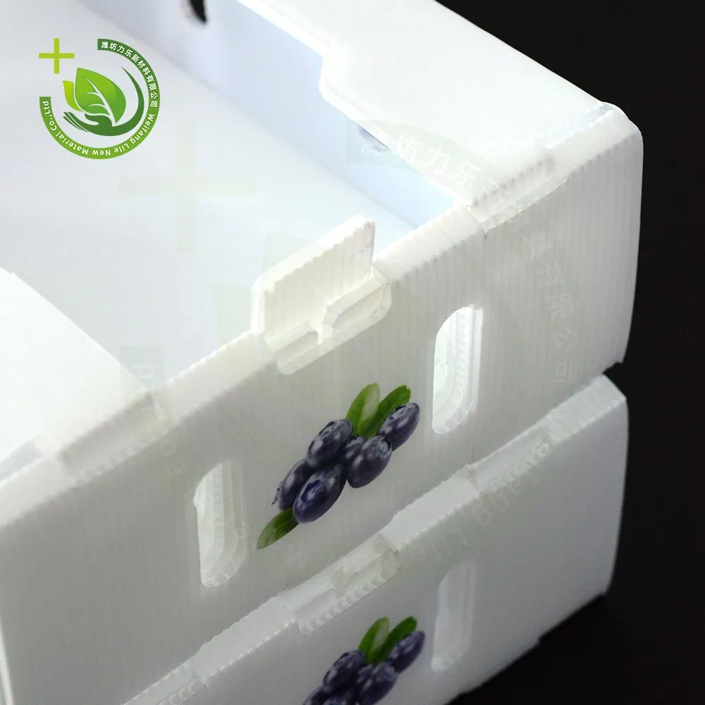 Food-Grade Corrugated Plastic Board Fruit Tray - BPA-Free Material for Safe Storage