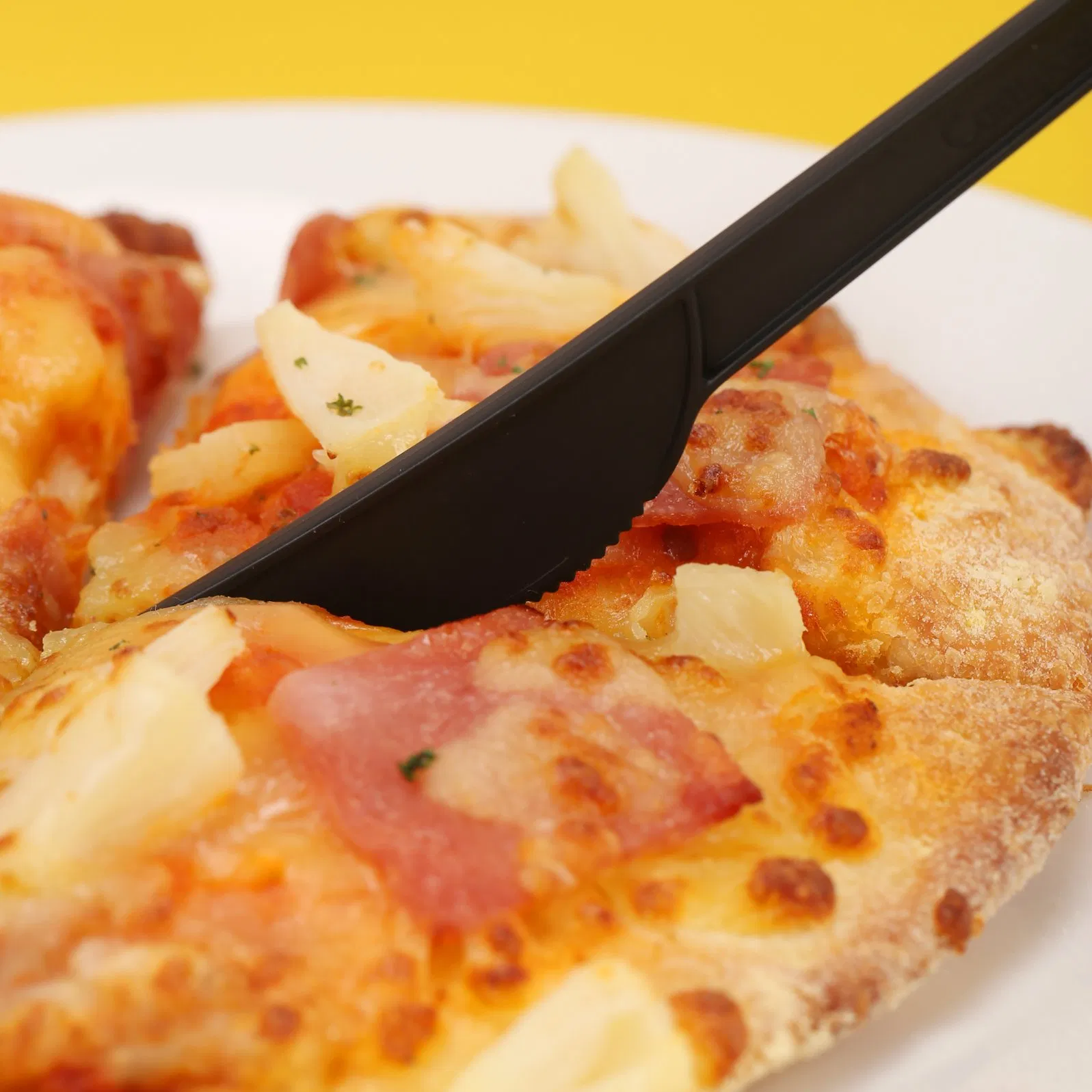 Quanhua Biodegradable Disposable Tableware Bio-Cornstarch Material