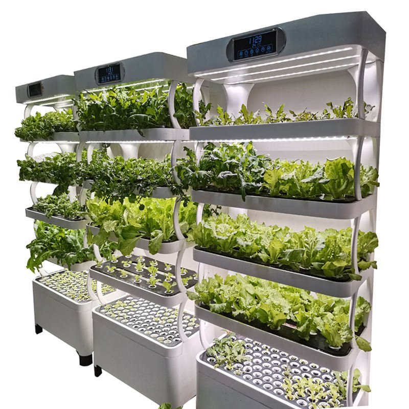 Household Vertical Hydroponic Rack System for Continuous Leafy Greens Production