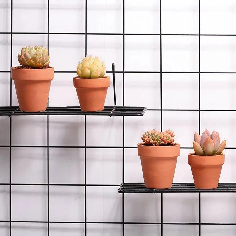 Red Clay Flower Pot 3