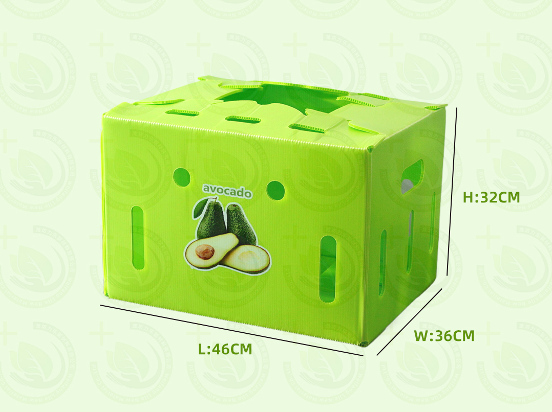 Food-Grade Corrugated Plastic Board Fruit Tray - BPA-Free Material for Safe Storage