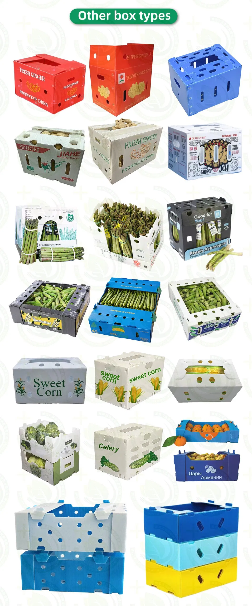 Logistics Box Display