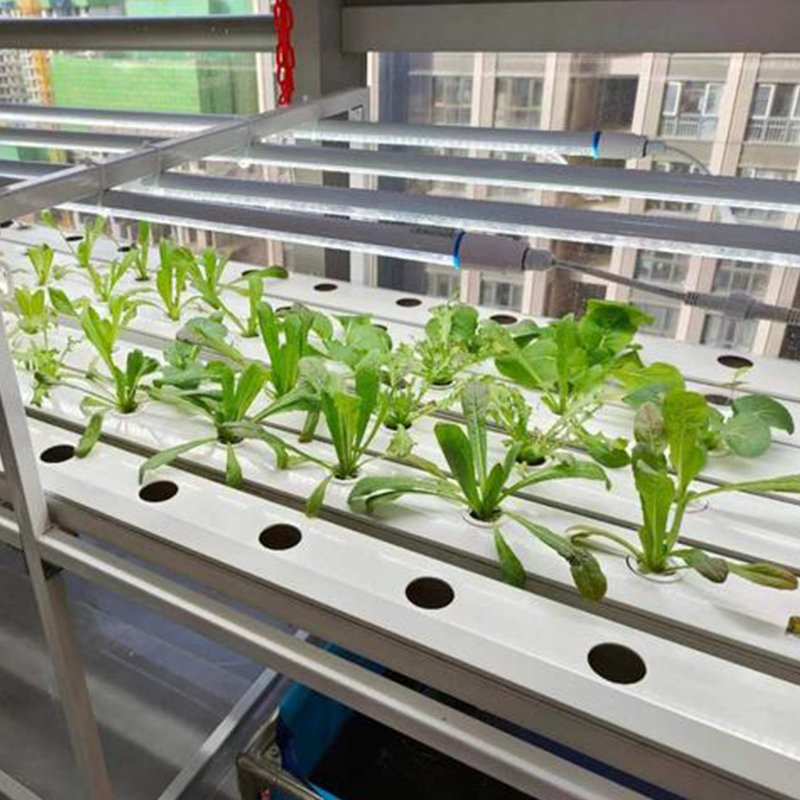 Hydroponics Rack System Nft Channel for Indoor Greenhouse Hydroponic System