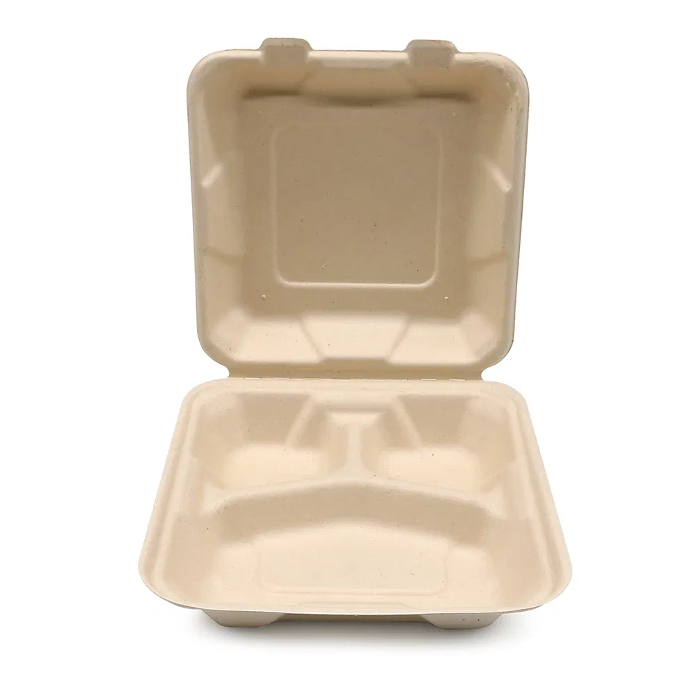 Eco Friendly Custom Sugarcane Bagasse Biodegradable Food Packaging Go Boxes Materials for Restaurant