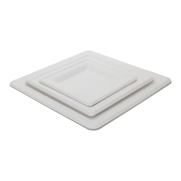 Eco-Friendly Bagasse Material