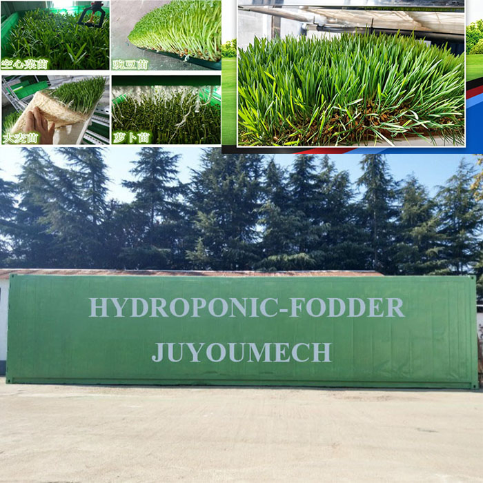 Wholesale Vertical Farming Tower Hydroponic Rack System Machine for Corn