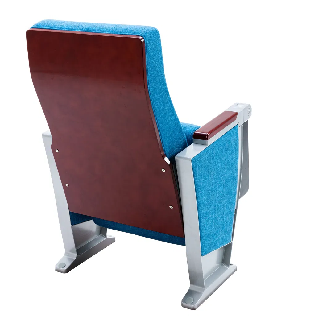 Auditorium Seat System 6