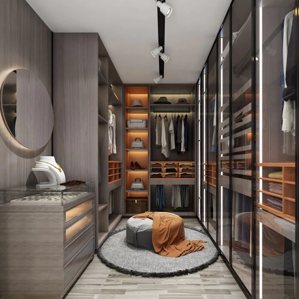 China Furniture Manufacturing Custom Glass Door Cloakroom with Dressing Table Mirror