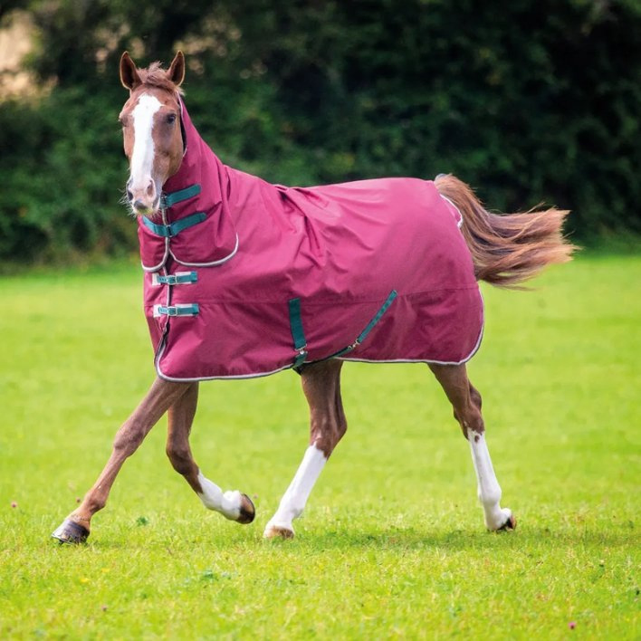 Lightweight Horse Winter Sheet with Neck Hood and Straps
