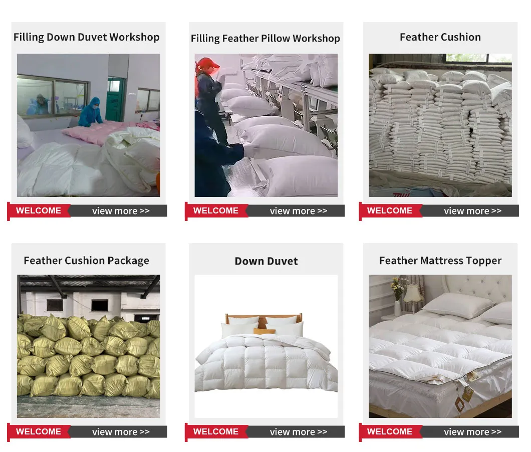 Wholesale Cotton Pillowcases