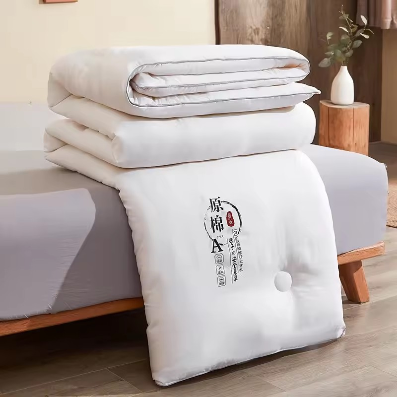 2024 New Class a Knitted Cotton Milk Silk Hotel Home Comfortable and Healthy Quilt Core Spring/Summer/Autumn/Winter Quilt