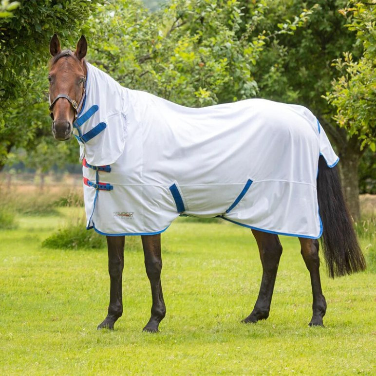 Lightweight Horse Winter Sheet with Neck Hood and Straps
