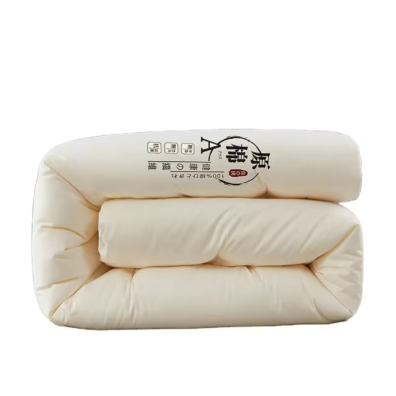 2024 New Class a Knitted Cotton Milk Silk Hotel Home Comfortable and Healthy Quilt Core Spring/Summer/Autumn/Winter Quilt