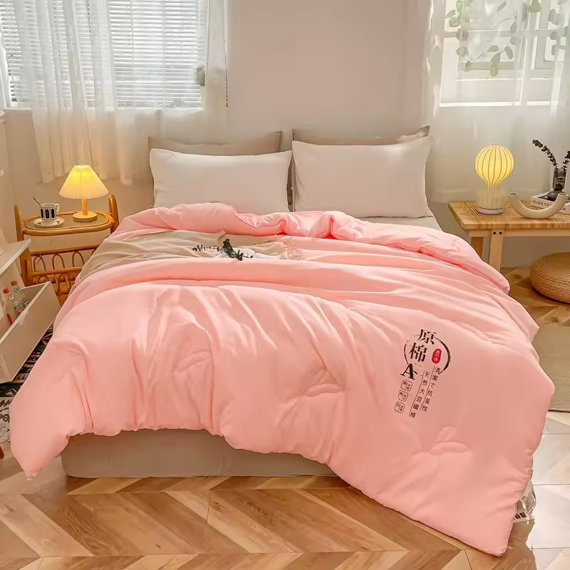 2024 New Class a Knitted Cotton Milk Silk Hotel Home Comfortable and Healthy Quilt Core Spring/Summer/Autumn/Winter Quilt